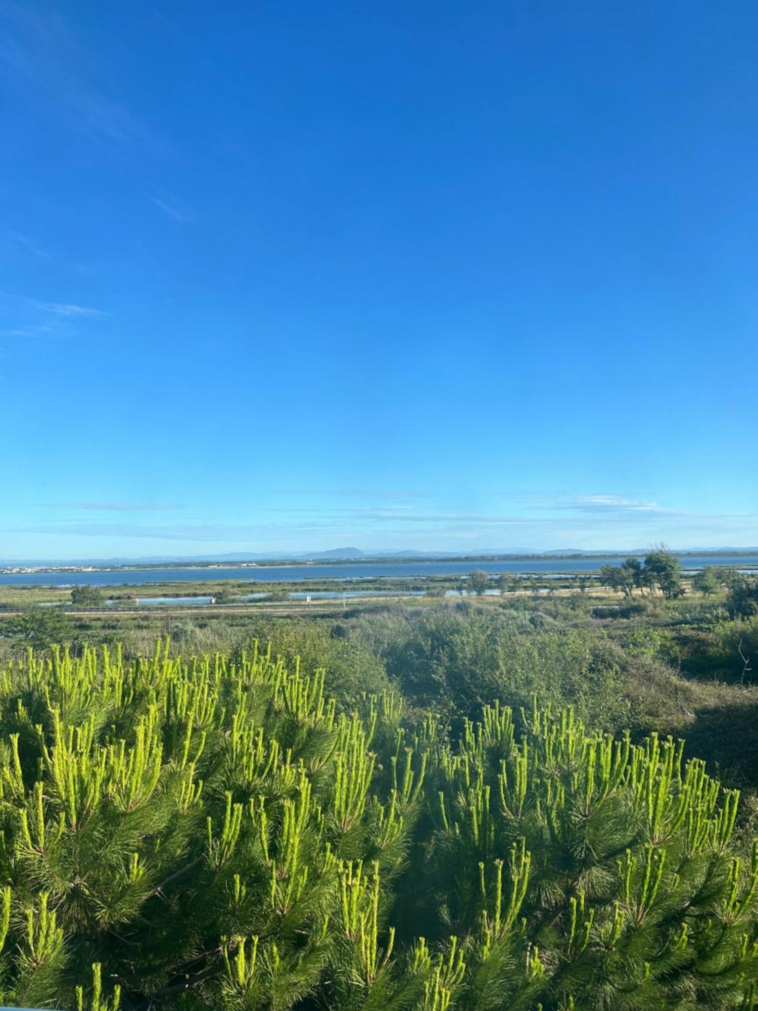 Appartement Traversant Vue Mer Et Etang Mauguio Eksteriør bilde